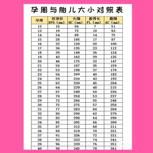 听说双顶径-股骨长大于2,是男孩?_胎儿_母婴_孕产经验