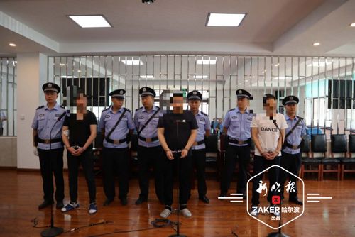 年 3 月间,张某国,张某家,李某波纠集在一起,为了垄断哈尔滨市双城区