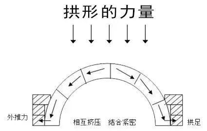 【亲子科学小实验】一张纸搭的拱形桥,为何手机压不塌
