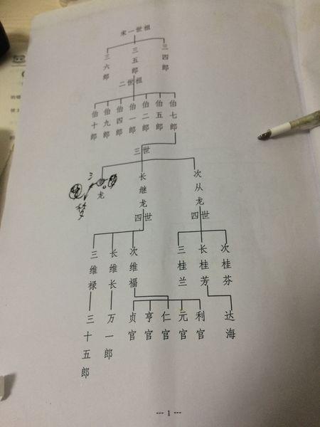 关于制作族谱树状图问题.(附图)