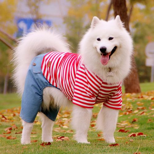 金毛衣服 大型犬_狗狗秋冬衣服 薄款金毛拉布拉多萨摩耶衣服秋装四脚