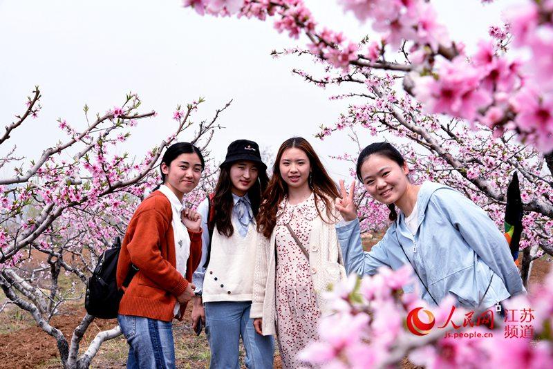 组图实拍:第十届徐州贾汪督公湖桃花节万亩桃花迎客来