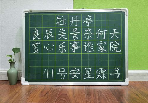 秦丝韵教师硬笔书法(粉笔字)大赛在天水分校成功举办