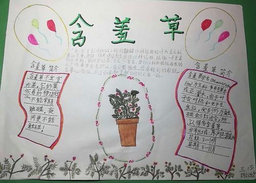 小学三年级pbl手抄报 小学三年级手抄报