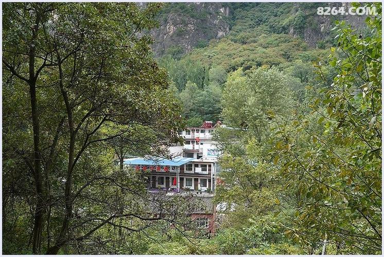 陵川野线:红豆杉大峡谷