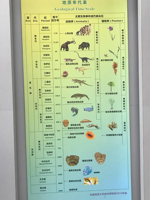 《地质年代表》更详细的介绍地球生物演变过程,才发现原来在恐龙时代