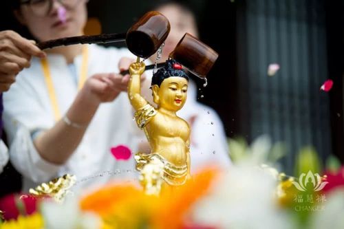 农历四月初八,恭迎本师释迦牟尼佛圣诞,了解浴佛节的缘起和意义