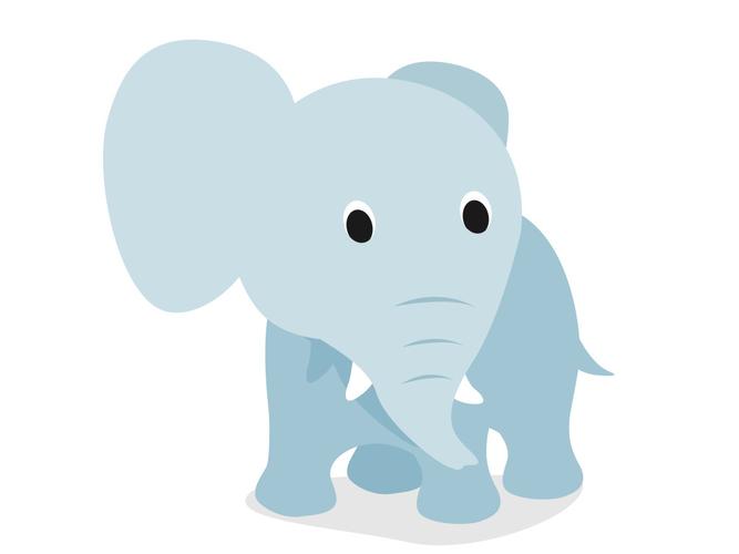 可爱小肥象