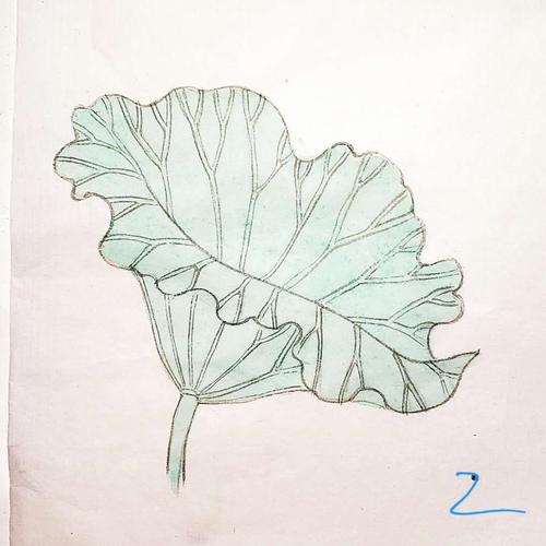 杨杨老师课件/荷叶的画法--3种(二十)2020.07.09