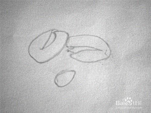 松子简笔画画法