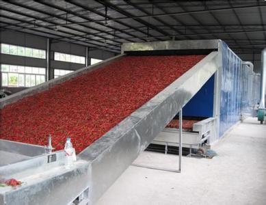 辣椒烘干方法,属于我司农副产品烘干设备系列,除了辣椒以为,还可用于