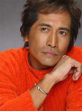 袖手旁观(齐秦音乐单曲)