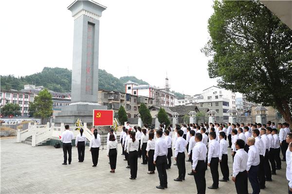 台江县组织开展新党员代表入党宣誓活动 陈震领誓并讲话