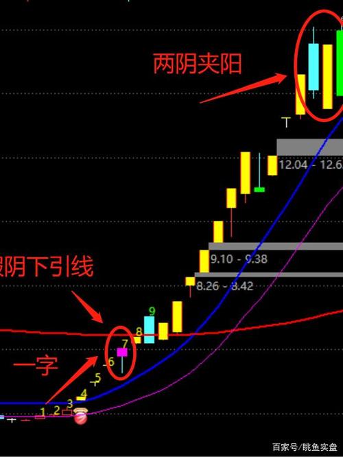模塑科技