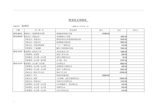 财务收支明细表