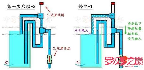 鱼缸的制作包括底滤和虹吸