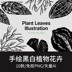 手绘黑白植物花卉请柬卡片海报装饰免抠png图案 ai矢量印刷素材