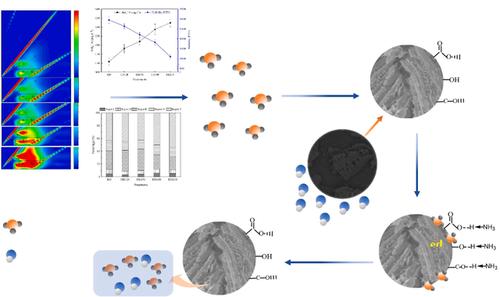 chemical engineering journal: 水热预处理联合改性水热炭吸附技术