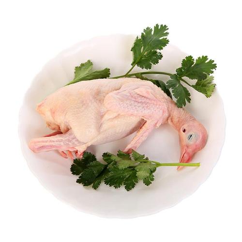 农家喂养脆皮鸽子新鲜乳鸽肉孕妇术后白条鸽子滋补煲汤6顺丰包邮 - 小