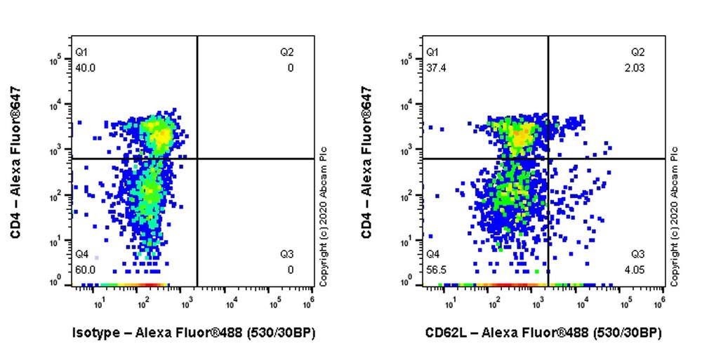 重组anti-cd62l抗体[dreg-56] (ab254540)