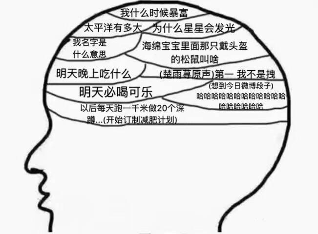 晚上失眠的时候你脑袋里冒出过什么奇怪的想法吗我一般会脑补一个大型