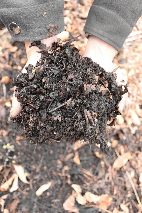 发酵纯柞树叶腐殖土腐叶兰花君子兰专用橡叶种植介质