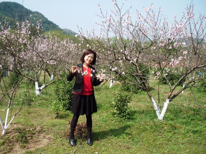桃花(现代诗)