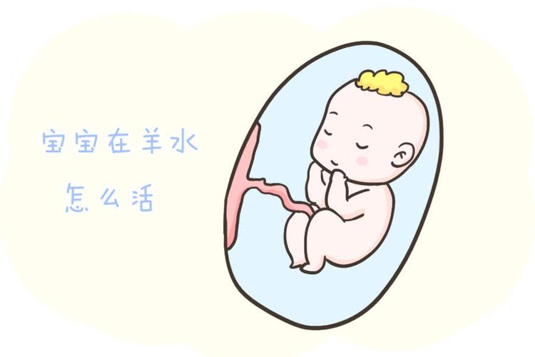 那么,对于并不会游泳的胎儿来说,他们是怎么在羊水里生活的呢?