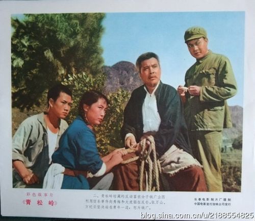 农村电影《青松岭》