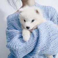 女生抱狗狗的头像图片_微信头像图片大全