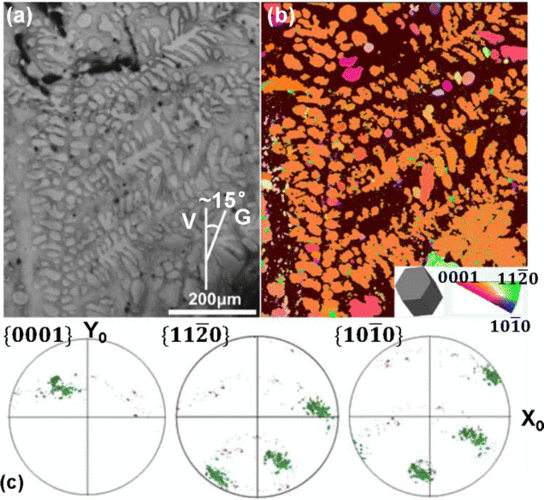 anomalous α-mg dendrite growth during directional