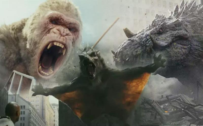 地球三大猛兽 狼只能排第三第一居然是只猴子《狂暴巨兽》