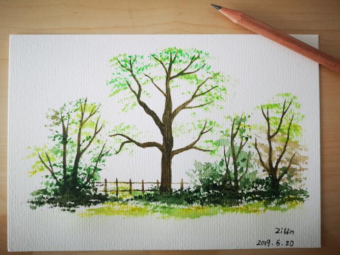 用水彩画出春夏秋冬的树一春天的树