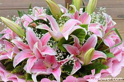 20多岁的女性朋友送什么花好20多岁的女性朋友生日送什么花