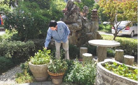 园林景观设计师的要求