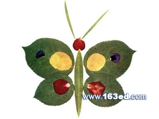 树叶粘贴画昆虫篇:蝴蝶26