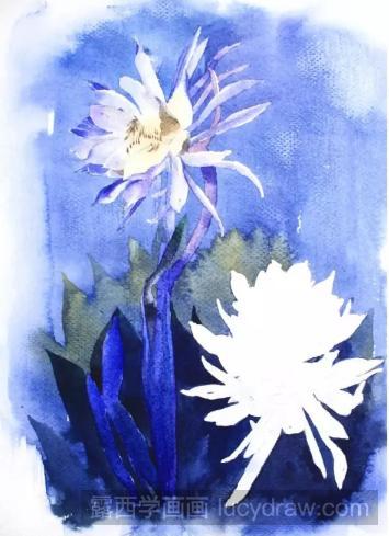 水彩画花卉教程:昙花的画法