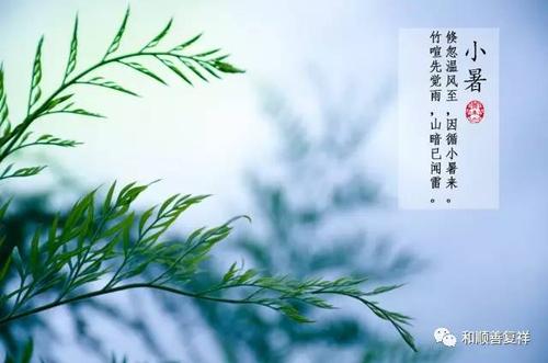 健康|酷暑难耐,开启三伏天防暑模式