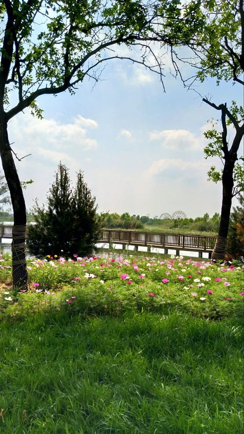 其它 慢城 写美篇 周末开车四十分钟到大高青的慢城来逛逛,虽然还在