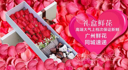 高档花束绣球花玫瑰花生日花束毕业订花北京上海深圳广州鲜花速递