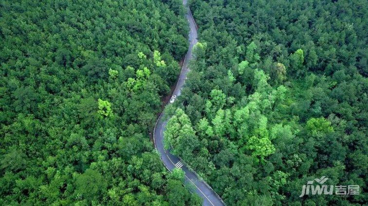 未来广元黑石坡山地自行车赛道带你在层林叠翠中游目聘怀