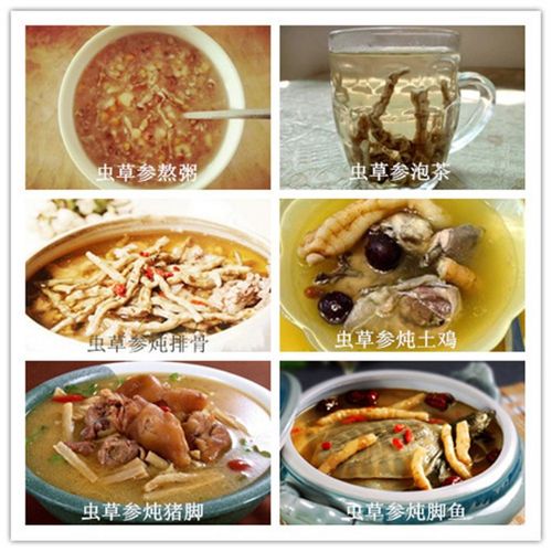 孝敬父母:送礼佳品【虫草参】强身健体:补肝肾