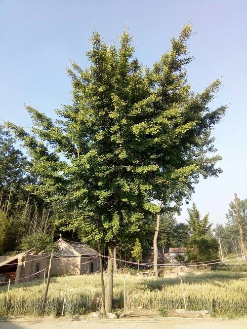 江苏省淮安市涟水县红旗路靠近左庄