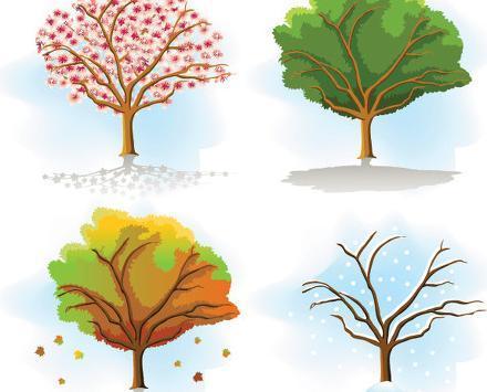 一年四个季节,每个季节都有不同的美景,如果以后我有机会选择,那么我