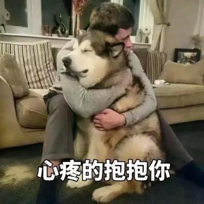 表情包暴击