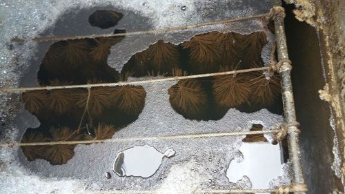 接触氧化挂膜?两张图告诉你(图文)