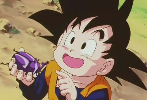 孙悟天在7岁时,当时z战士为了加入天下第一武道会