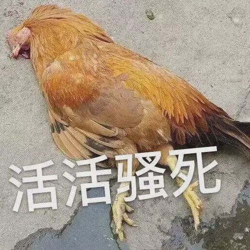 "当绿茶遇上海王?"内容极度舒适.