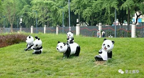 曲阜三合生态动物园7月9号开园,9号-15号请您看马戏