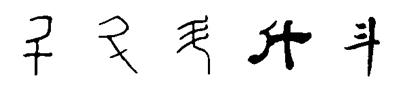 甲骨文 金文 小篆 隶书 楷书